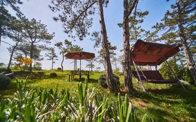 Villa Sova Guest house