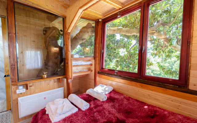 TreeHouse GoldenSeaView TreeHouse Private house