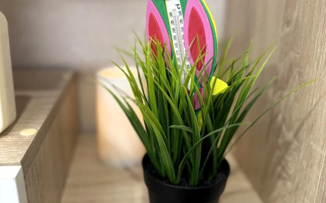 Квартира уютная в центре