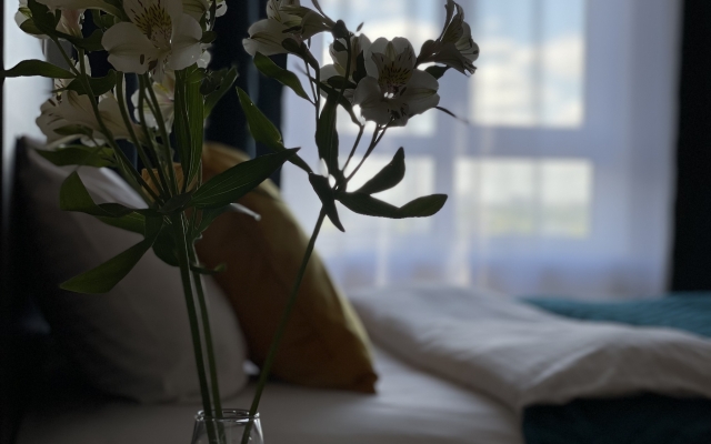 Апартаменты Современник