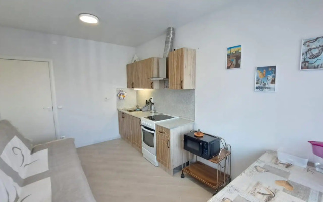 Sovremennaya Flat