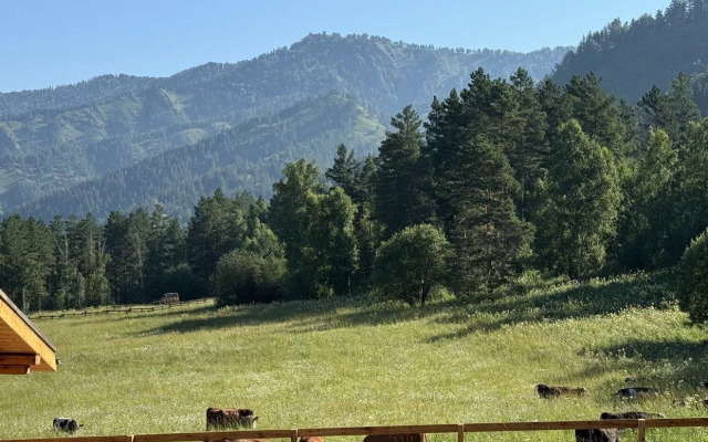 База отдыха Корни