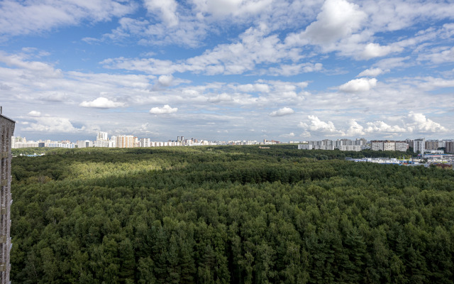 Квартира в Комплексе Тропарёво Парк 5