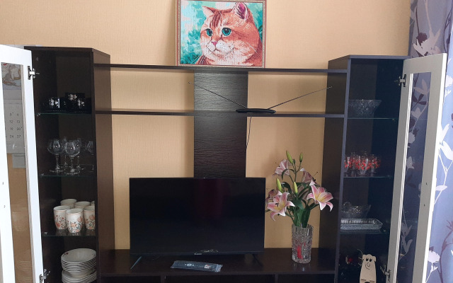 U Finskogo zaliva na Vasilievskom ostrove Flat