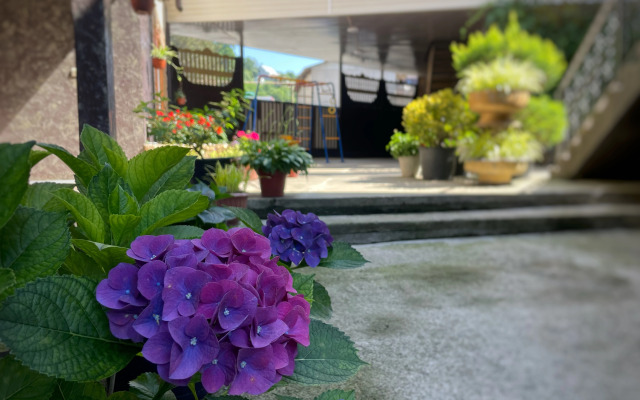 Allegro Home Guest House