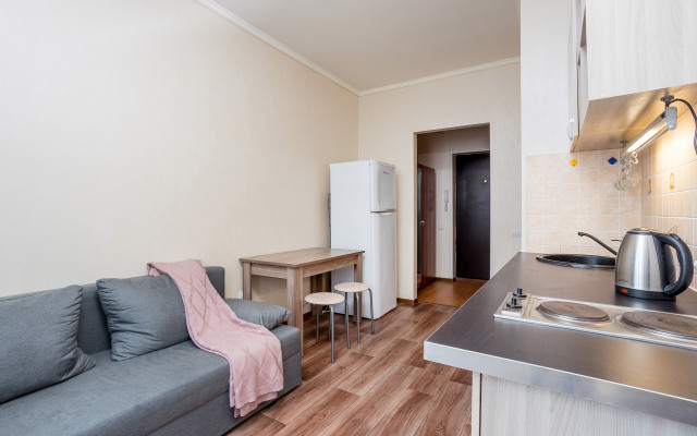 Аппартаменты Петра Метальникова