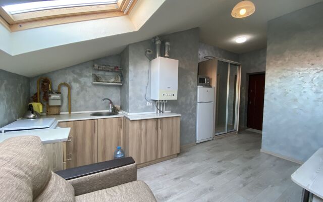 Апартаменты 1-К Квартира Мансарда