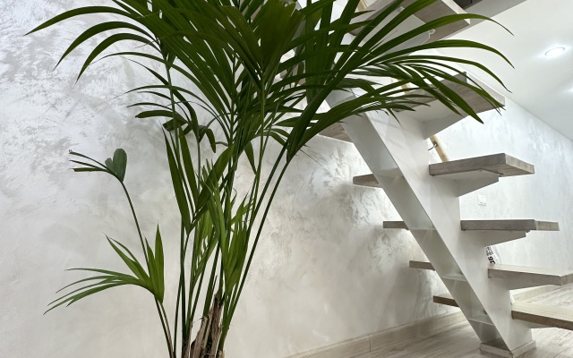 Апартаменты Аэровила