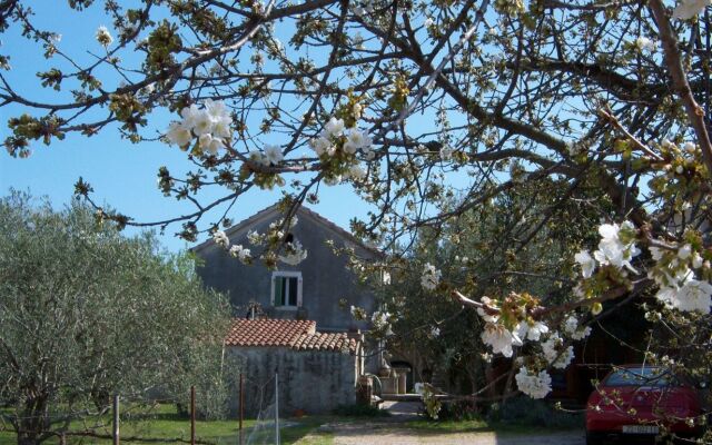 Villa Stara Frajla