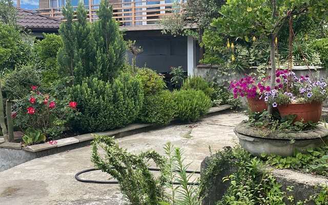 Leona Guest House