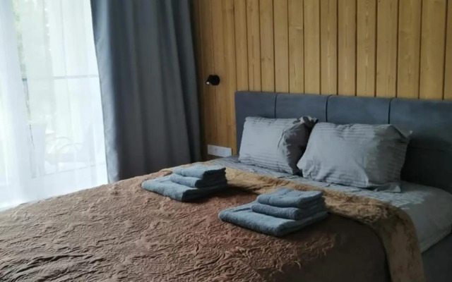 Частный дом в Сосновом Лесу