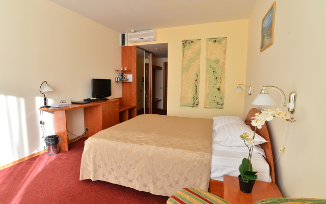 Tsentralny Eurohotel Hotel