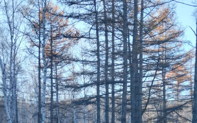 Глэмпинг Наедине