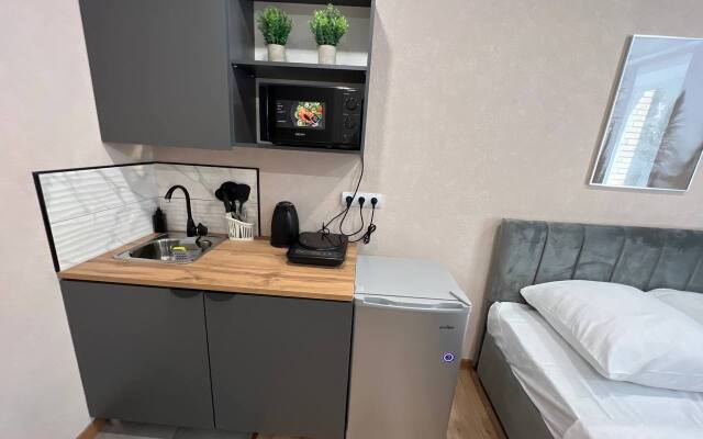 Studiya Dlya Pocutochnoy Arendy Apartament