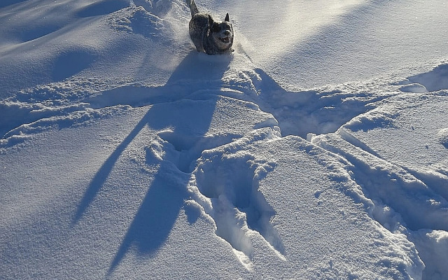 Гостевой дом Окулова Заимка