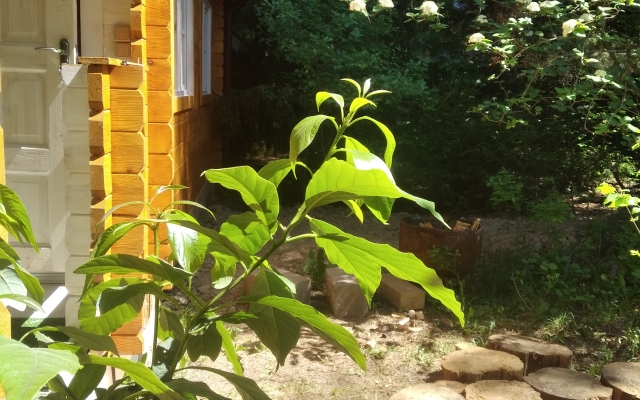 "Vinnaya Derevnya" Glamping
