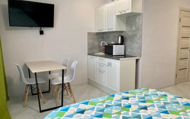 Studio na ulice Raketnaya 17 Apartments (3)