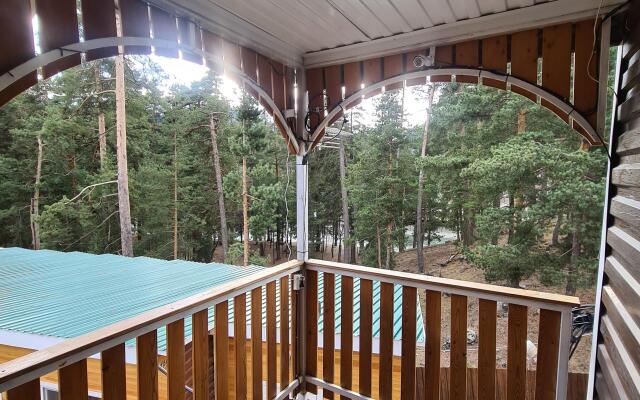 Sosnovy Bor Hotel