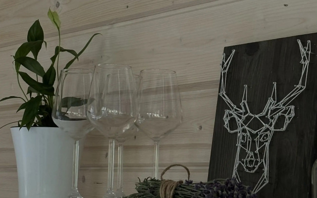 Гостевой дом Душа леса