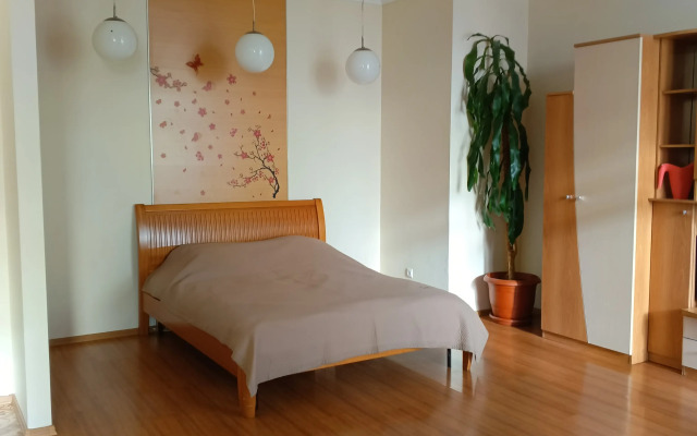 Vozle Zhd Vokzala Flat