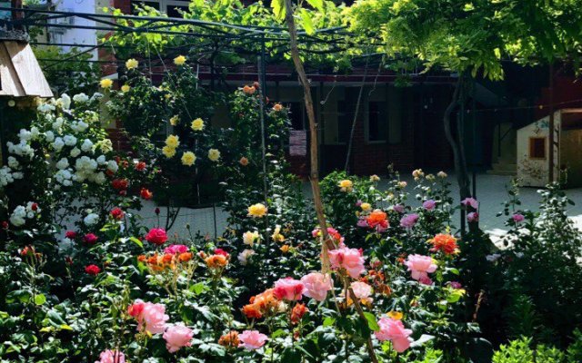 Katyusha Guest House