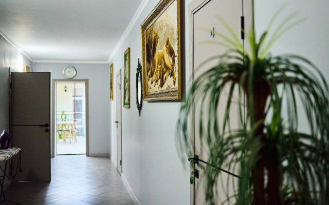 Daryya+ Guest house