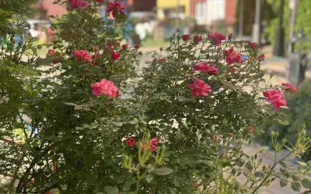 Квартира на Героя Сарабеева