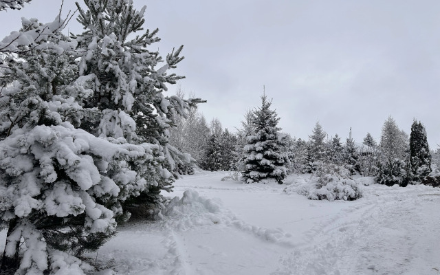 Гостевой дом Первая лошадь