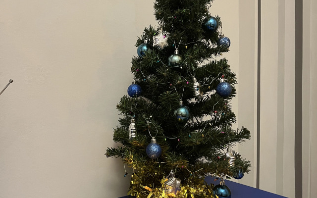 Квартира в Самом Центре Города