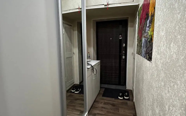 Na ulice Karla Libknehta Apartments