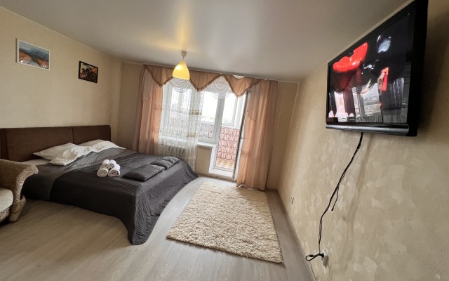 1kv South Port Shopping center Favorite of Demyan Bedny 92 Apartments