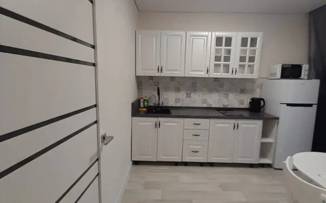 Апартаменты Алексеева 27