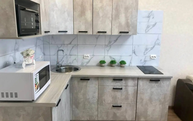 Квартира 2-комнатная студия в центре на Мичурина