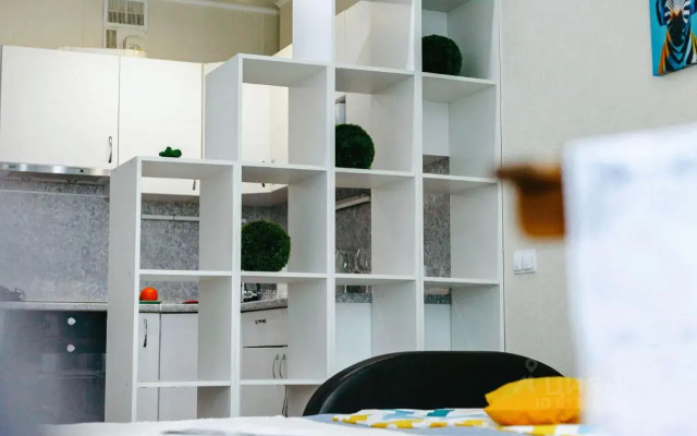 Uyutnaya Studiya S Gamakom Apartments