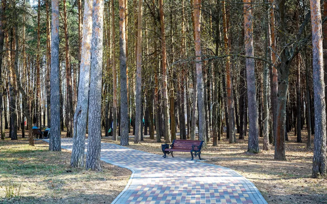 Квартира Лесная поляна