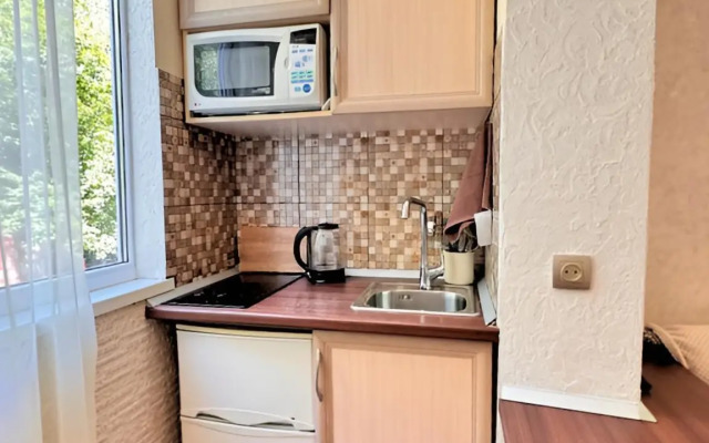 Flat v Tsentre Kurortnoy Zony