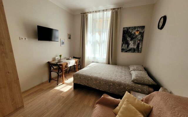 Квартира - студия в иcтoричeскoм цeнтре Санкт-Пeтеpбургa (4)