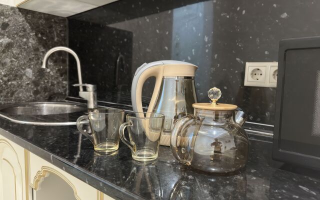 Квартира на проспекте Петра I 121