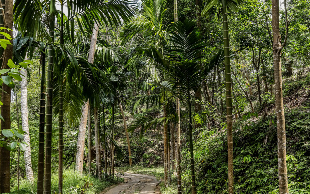 The Flame Tree Estate&Hotel