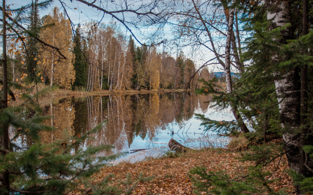 База отдыха Озерки