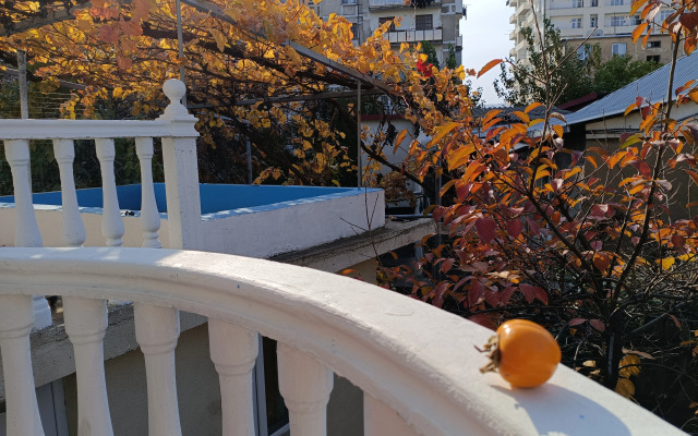 Eco-friendly Why Me Tbilisi Guest House