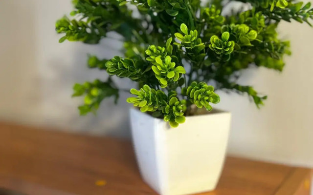 Апартаменты  в центе Рязани