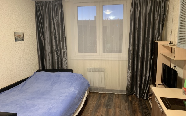 Апартаменты Studio Narvskaya