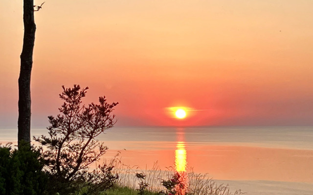 Квартира Уютная квартира в центре Светлогорска