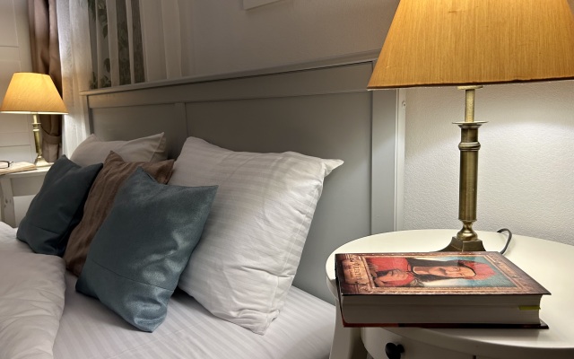 Akvareli Dizaynerskie s vidom na Ostankino Apartments