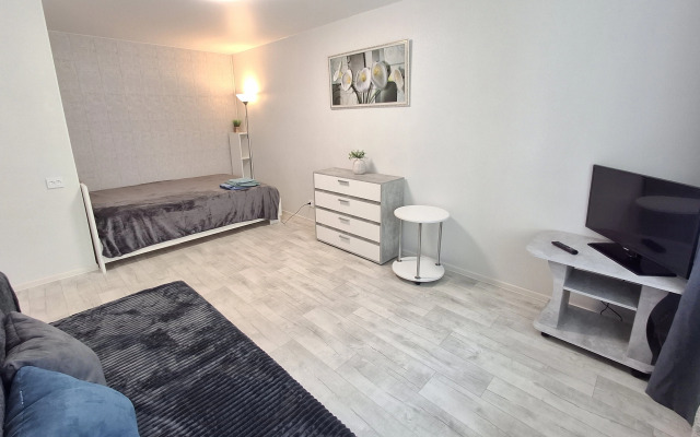 So Svetlym Remontom Flat
