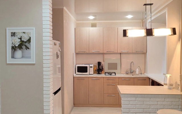 Uyutnaya Studiya V Tsentre Goroda Flat
