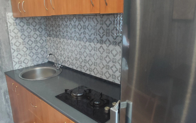 Lenina 31 Apartments (1)