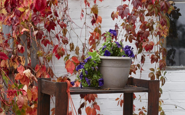 Частный дом Уютный светлый  дом в окружении природы