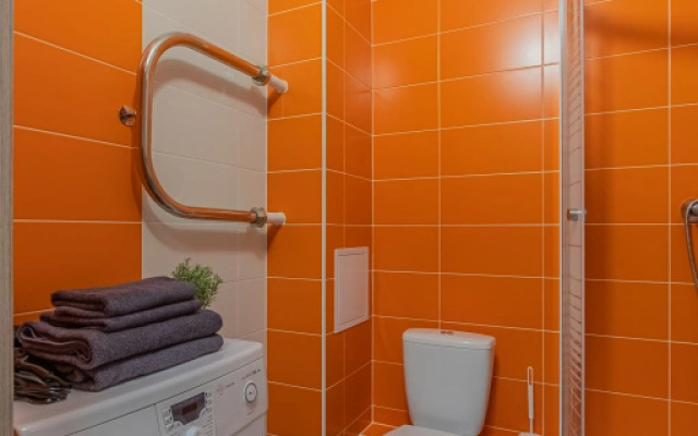 Apartment Standart SalutApart 8